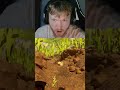 SNAIL WENT FLYING! #xackonic on #twitch #gaming #glitchmoments #grounded2 #funny #viral #wtfmoment