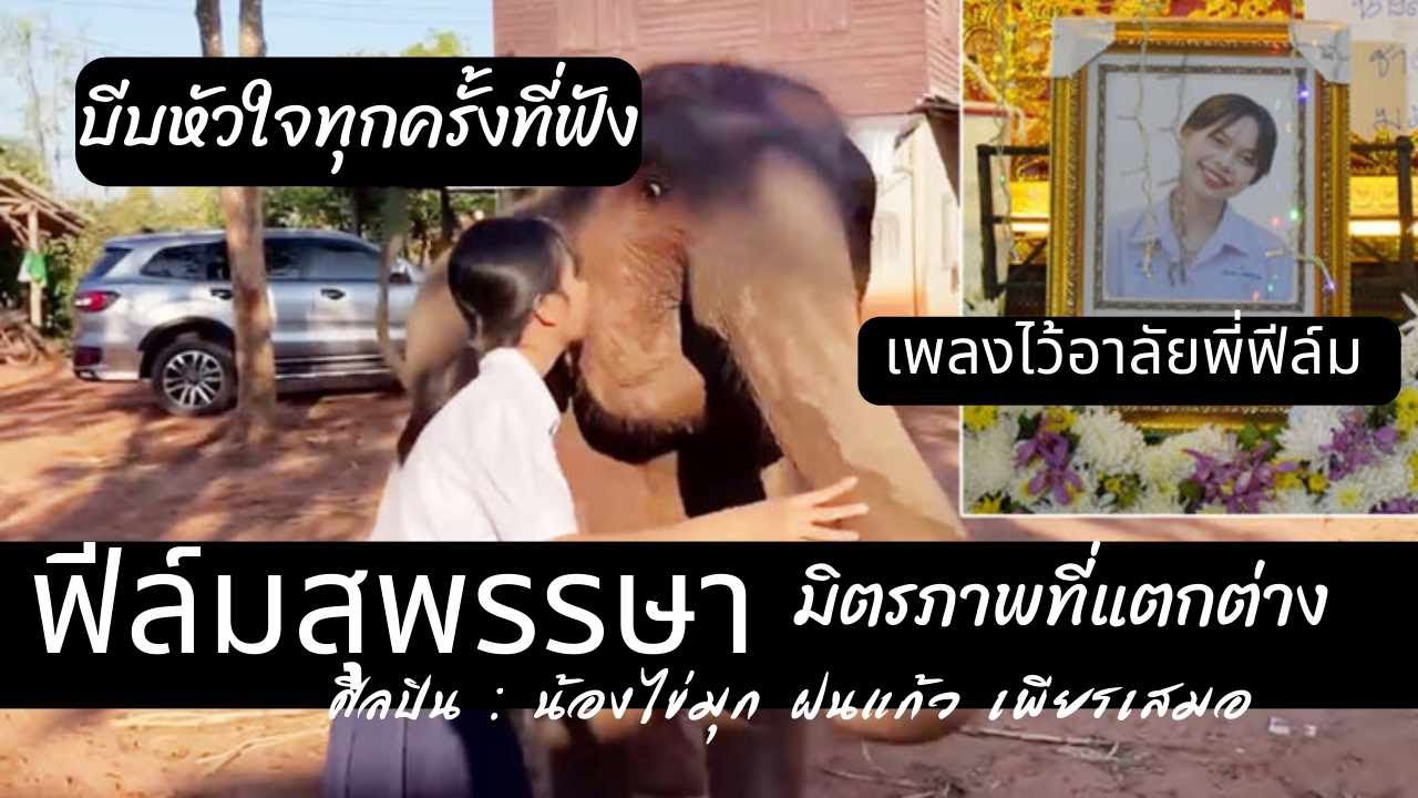 ฟีล์มสุพรรษามิตรภาพที่แตกต่าง น้องไข่มุก ฝนแก้ว เพียรเสมอ (ช้างน่ารัก FAMILY SRITHAPTHAI ศรีทัพไทย)