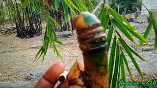 Sacred bamboo carrying a spirit‼️ If you're brave, take it home; if not, don't‼️