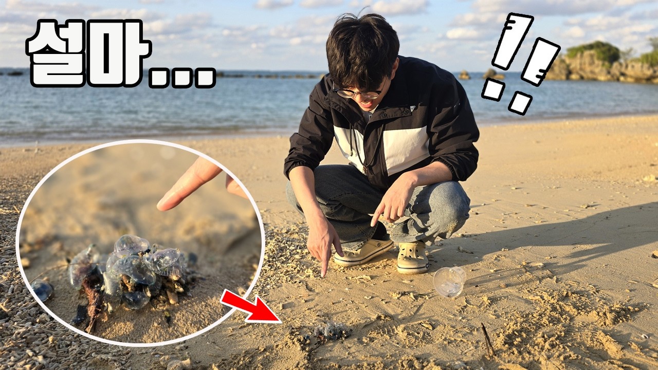 ※필수시청※ 해변에서 놀다가 저희 아이도 당할뻔 했네요...만지면 진짜 죽을수도 있습니다!