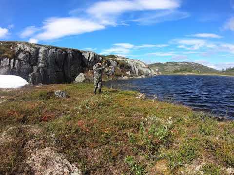 Kalassa Kalhovdfjorden 11/07/20
