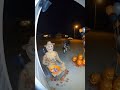 3 Unusual Animals Visited My House… Caught on Camera
