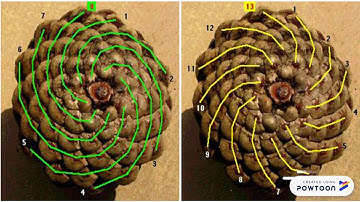 video presentation in mathematics in modern world