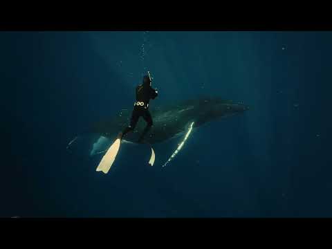 Naudé Heunis: Capturing the Ocean’s Soul Through Film