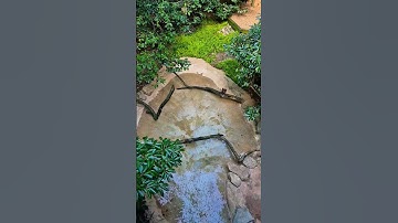 تلاوة خاشعة بصوت إسلام صبحي 🌿📖