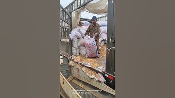 Cleaning peanuts- Good tools and machinery can increase work efficiency