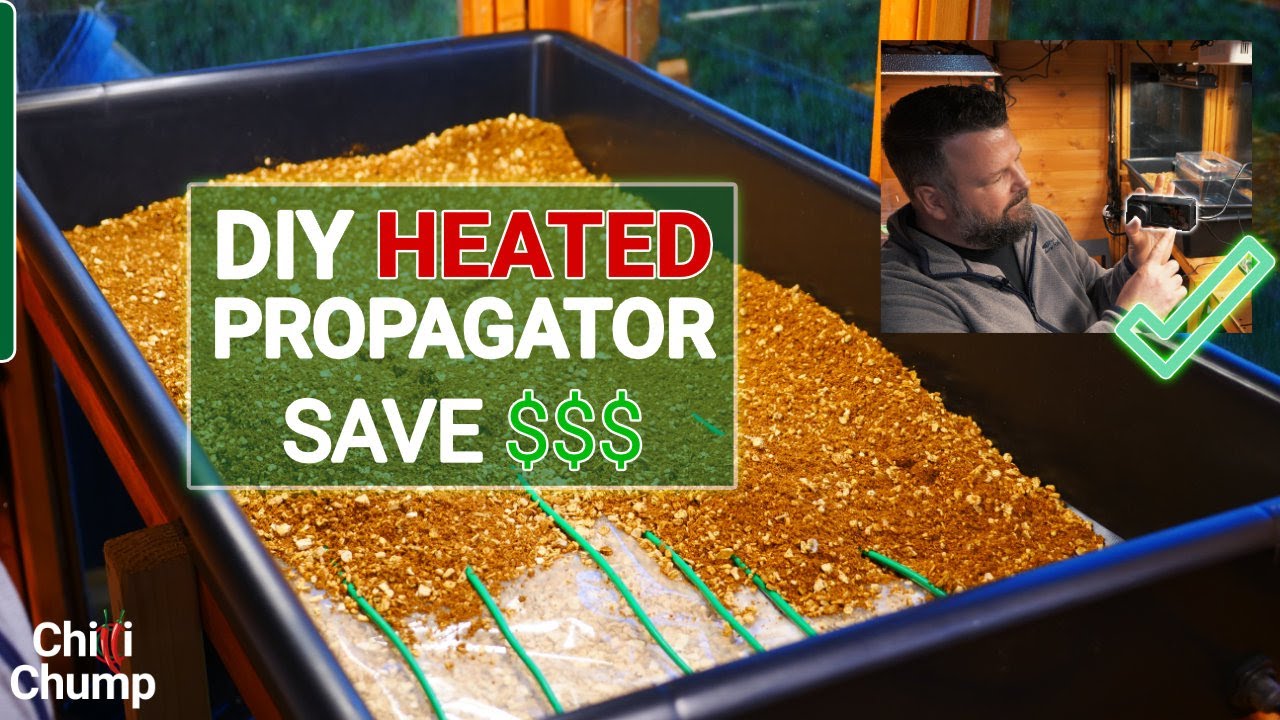 Build a heated propagator. Unbelievable results!