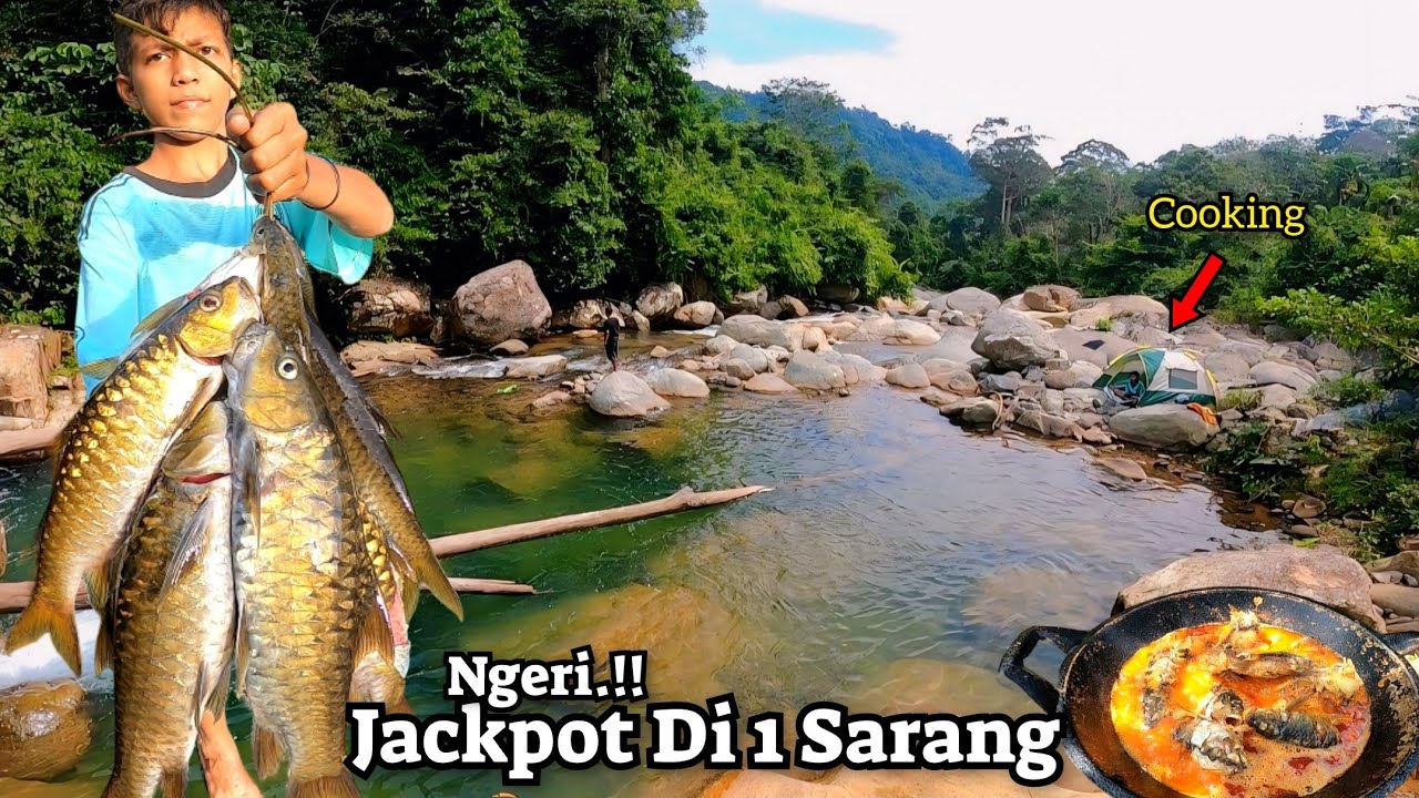 DI TUNGGU IKAN BESAR.!! JACKPOT DI SUNGAI BENING PERTENGAHAN HULU