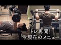 筋トレ再開！今現在のメニュー 【マッスルメモリー検証シリーズ01】