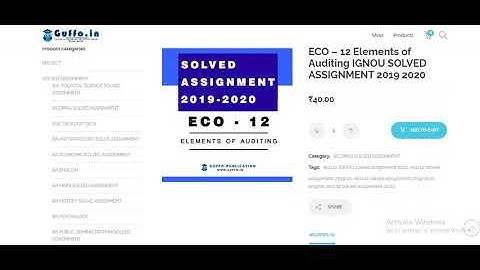 ECO – 12 Elements of Auditing IGNOU SOLVED ASSIGNMENT 2019 2020
