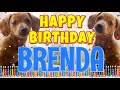 Happy Birthday Brenda! ( Funny Talking Dogs ) What Is Free On My Birthday