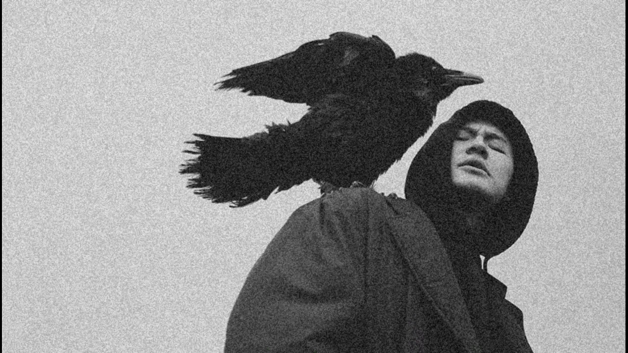 Масло Чёрного Тмина Я не напишу ни строчки(Stixhy Remix)