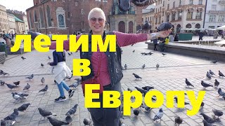 VLOG#Потрясающий Краков. Неделя удовольствий.