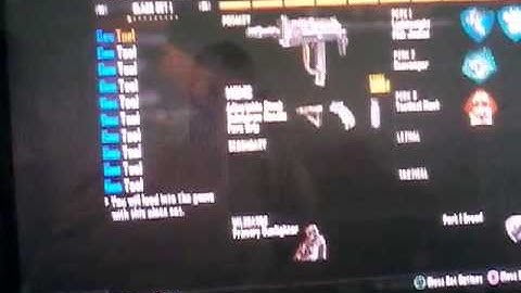 Best bo2 msmc class setup
