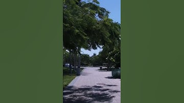 وعنت الوجوه للحي القيوم ، سورة طه ، تلاوة خاشعة الشيخ فارس عباد🌿.