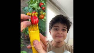 Download Lagu #funny #pov #duet #colonelkkjϟ #comedy #food #memes MP3