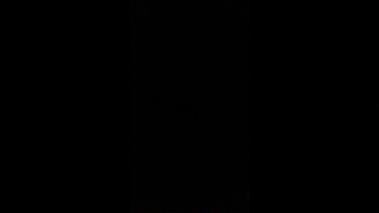 EAT MY SHORTS LOSER YouTube