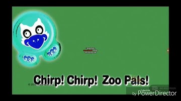 Zoopals Bouncing In G Major Reversed
