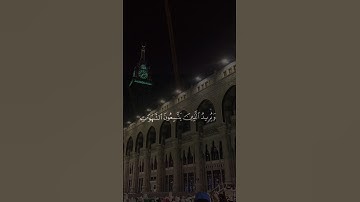 ﴿واللهُ يُرِيدُ أَن يَتُوب عَليْكُمْ﴾للقارئ علي جابر♡.