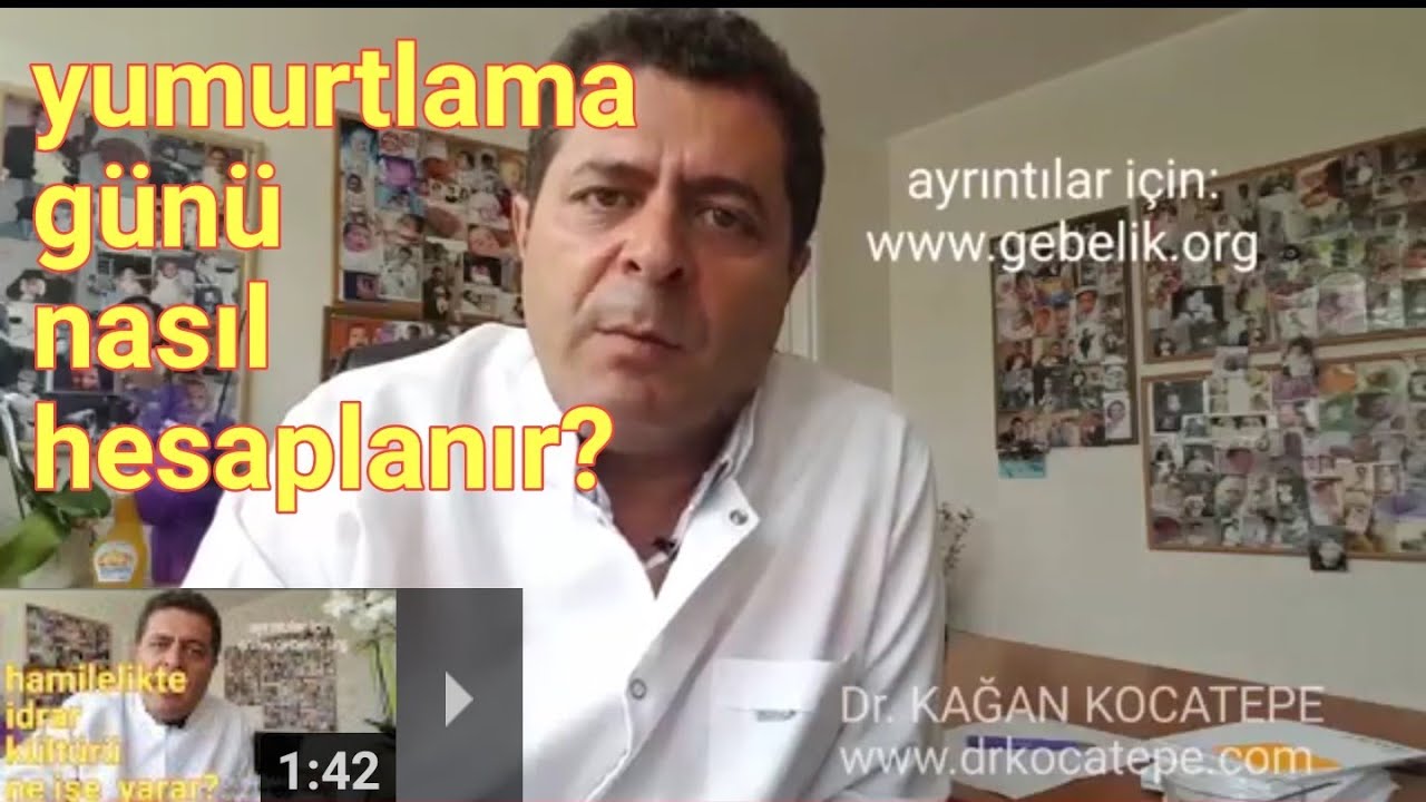 Yumurtlama Ovulasyon Gunu Ve Hamile Kalmaya Elverisli Dogurgan Gunler Nasil Hesaplanir Youtube