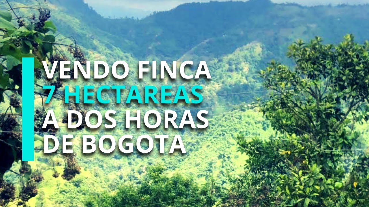 BITUIMA VENDO FINCA 7 HECTAREAS EN CUNDINAMARCA Oportunidad única! A 2 ...