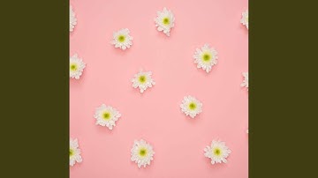 Simple Backdrops for Dazy Days