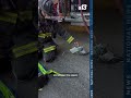 Firefighter gives oxygen to pigeon