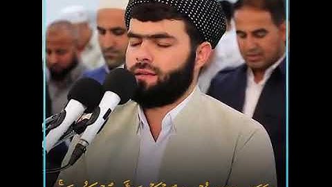 ما تيسر من سورة لقمان/تلاوة خاشعة تهز القلوب💔بيشه وا قادر الكردي⚘