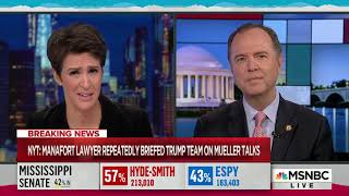 Rep. Schiff on MSNBC: If Manafort Helped Trump Obstruct Justice, Congress Will Expose It
