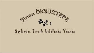 Sinan Öksüztepe  Şehrin Terk Edilmiş Yüzü Resimi