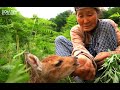 지리산 할머니의 고라니 사랑  [동물티비×KBS NATURE]