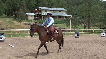 Cowboy Dressage Part 3