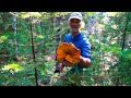 Foraging in Maine: Lobster Mushroom Hunting W/ Jim Kovaleski