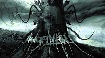 AngelMaker - Decay AngelMaker - Decay