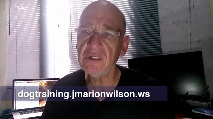 How to house train my Doberman pinscher puppy