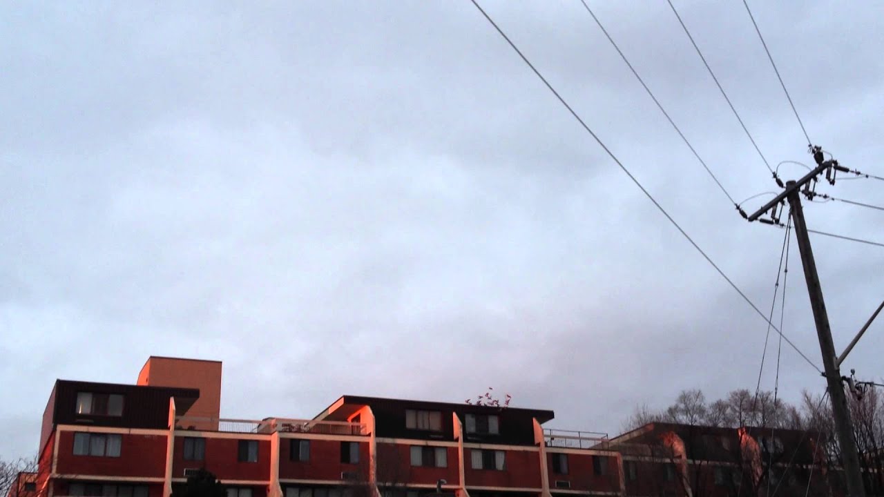 Birds with glowing orange wings?!?