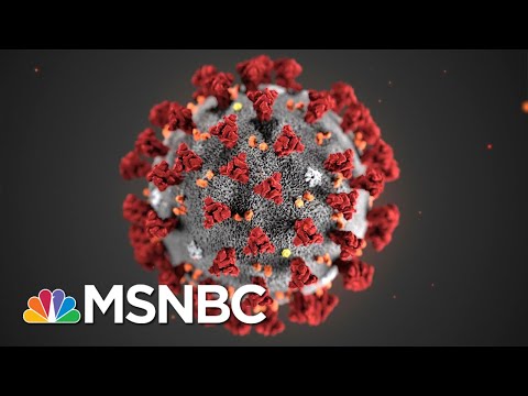 Man In His 20s Tests Positive For COVID-19 In Boston | MSNBC