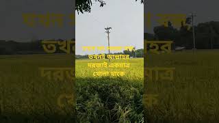 যখন সব দরজা বন্ধ, তখনই আল্লাহর দরজাই একমাত্র খোলা থাকে #cnns #cnnc #amyklobuchar #ushousespeaker