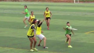 ¿Qué Frisbee?