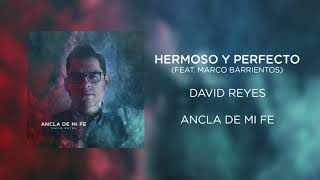 Video thumbnail of "Hermoso y Perfecto (Feat. Marco Barrientos) - Ancla De Mi Fe - David Reyes - Audio Oficial"