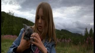 MISA A VLK 2003 Drama / Rodinný CZ Dabing