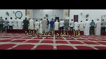 صوت جميل وتلاوة مؤثرة وابداع في التلاوة فضيلة الشيخ احمد شاكر سورةوهود 44