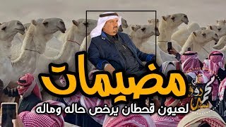 شيلة لعيون قحطان يرخص حاله وماله | عمير ال روق القحطاني 🥇| ابشر بقحطان  | جتك مضيمات | فهد بن فصلا