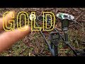 EP19 | FINDING GOLD with all 3 DETECTORS - MINELAB GPX GM1000 EQUINOX 800