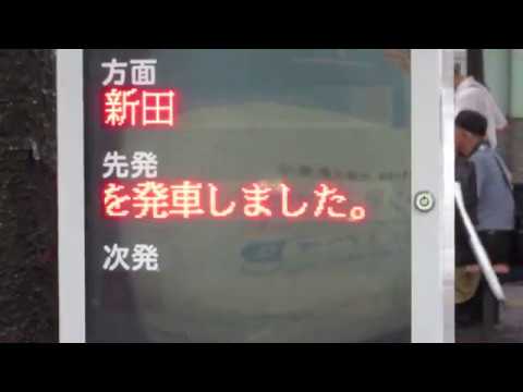 稲田堤 カラオケ まねきねこ