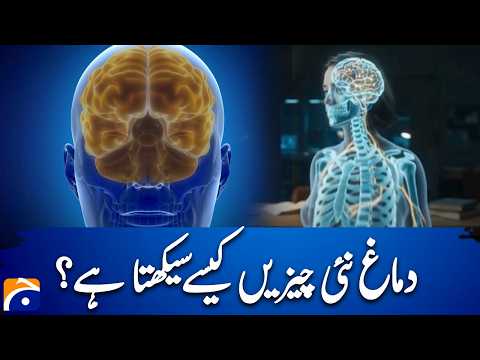 What Happens Inside Your Brain When You Learn Something New | Geo News
