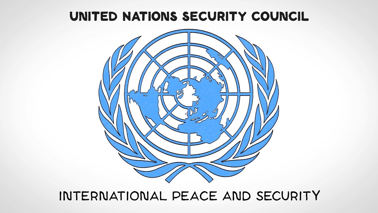 un security council case study