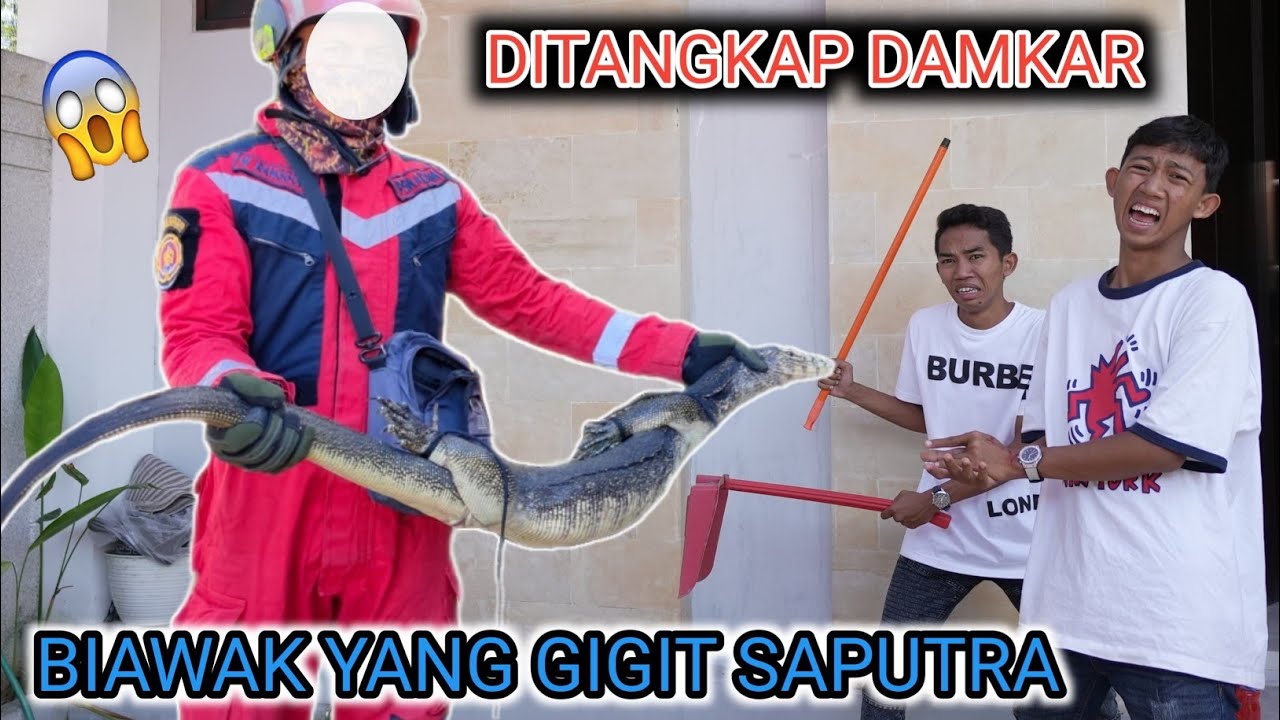 Gawat! Biawak Masuk Kedalam Rumah, Sampe Gigit Saputra? | Mikael Family