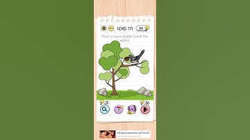 Level 171 of Brain Test