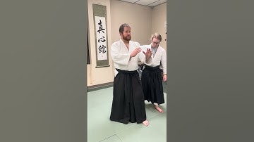 7th kyu hanmi with ki test